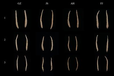 Non-destructive identification of Pseudostellaria heterophylla from different geographical origins by Vis/NIR and SWIR hyperspectral imaging techniques